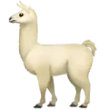 lama